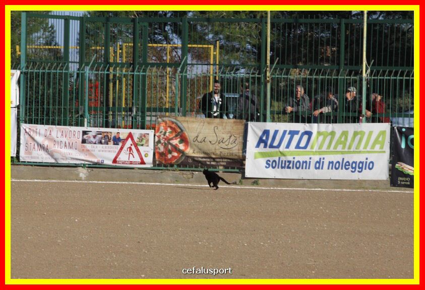 181111 Cepha_Milazzo 056_tn.JPG